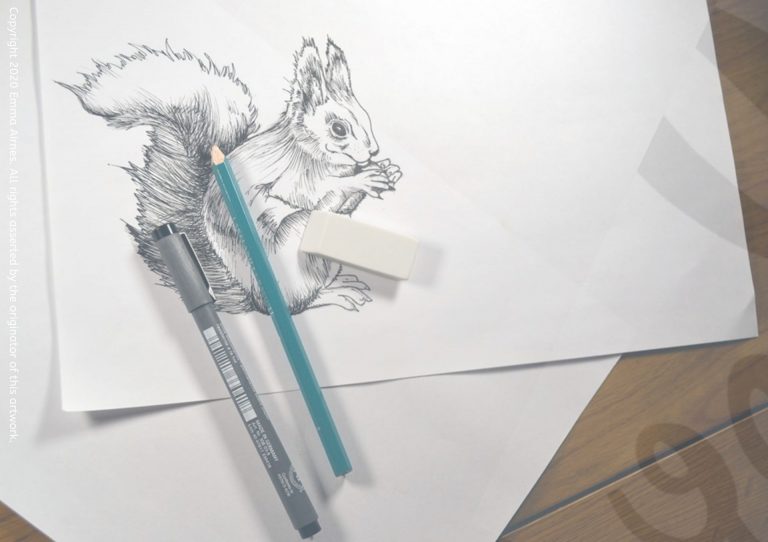1920x1354_hand_drawing_squirrel_pen_example_with_watermark