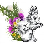 960x678_original_colour_photographic_pen_work_squirrel_no_watermark