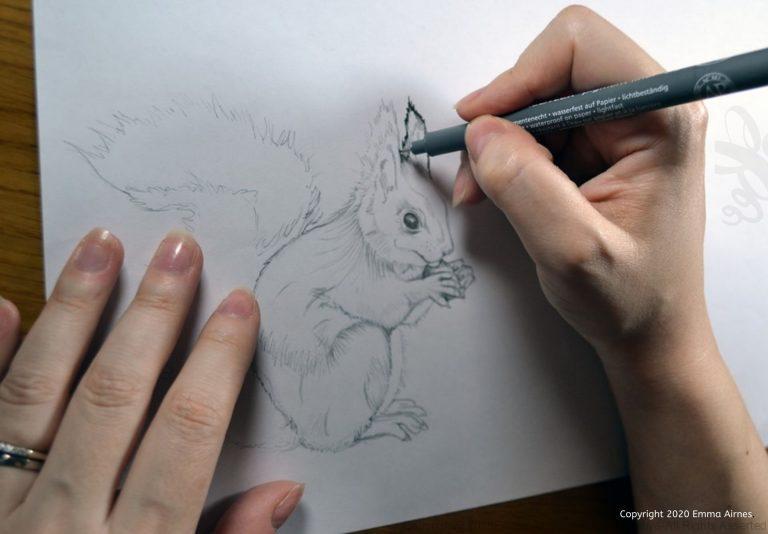 1920x1334_hand_drawing_squirrel_Emma_Airnes_with_watermark